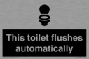 this-toilet-flushes-automatically~